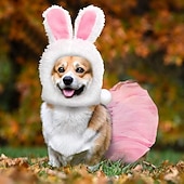 abordables Vacances-Chien Costume Mignon Chaud Doux Mode Confortable Extérieur Soirée Chien