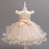 abordables Robes de Fille de Fleurs-Robe de Demoiselle d'Honneur Fille Fille Robe de soirée Tenue de mariage Soirée Mariage Formel Mode Adorable Princesse Patchwork Broderie Fleuri Sans manches Col en V Bleu Champagne 4 ans et +