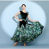 abordables Salle de Bal Standard-Robe de bal rouge en velours pour femme, sans manches, à imprimé floral, jupe ample, style valse, tango, moderne, standard, compétition.