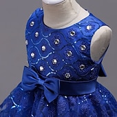 preiswerte Blumenmädchenkleider-Blumenmädchenkleid Mädchen Formelle Kleidung Hochzeitskleidung Party Hochzeit Formell Mode Prinzessin Schön Kleid für die Erstkommunion Netz Einfarbig Ärmellos Rundhalsausschnitt Blau Weiß Ab 4 Jahren