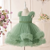 economico Abiti da Fiori-Bambini Ragazze Vestito da Festa Tinta unica Senza Maniche Occasione speciale Compleanno Principessa Dolce Poliestere Lunghezza al ginocchio Vestito da Festa Estate Primavera Autunno Bambini Verde