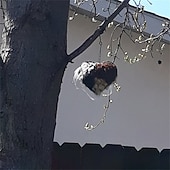 tanie ptactwo podwórkowe i dzika przyroda-Ręcznie robione ptasie serce do gniazdowania, pojemnik na materiały do gniazdowania ptaków z bawełny PP, wymienne ptasie serce do gniazdowania kolibrów, zimowe prezenty dla miłośników kolibrów, wystrój ogrodu domowego