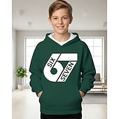 abordables Humour Drôle 3D de Garçon-Unisexe Garçons 3D Graphique Argot drôle 67 Sweat à Capuche Pull manche longue Impression 3D Printemps Automne Sports Mode Streetwear Enfants 4-12 ans À capuche Extérieur Occasionnel Quotidien Coupe