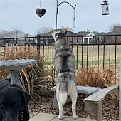 tanie ptactwo podwórkowe i dzika przyroda-Ręcznie robione ptasie serce do gniazdowania, pojemnik na materiały do gniazdowania ptaków z bawełny PP, wymienne ptasie serce do gniazdowania kolibrów, zimowe prezenty dla miłośników kolibrów, wystrój ogrodu domowego