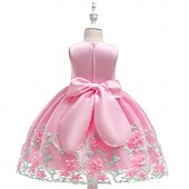 economico Vestiti per serate-Bambini Ragazze Vestito da Festa Tinta unica Senza Maniche Compleanno festa di Natale Ricamato Principessa Dolce Poliestere Midi Vestito da Festa Estate Primavera 4-12 Anni Giallo Rosa Azzurro cielo