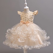 abordables Robes de Fille de Fleurs-Robe de Demoiselle d'Honneur Fille Fille Robe de soirée Tenue de mariage Soirée Mariage Formel Mode Adorable Princesse Patchwork Broderie Fleuri Sans manches Col en V Bleu Champagne 4 ans et +