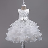 preiswerte Blumenmädchenkleider-Blumenmädchenkleid Mädchen Formelle Kleidung Hochzeitskleidung Party Hochzeit Formell Mode Prinzessin Schön Kleid für die Erstkommunion Netz Einfarbig Ärmellos Rundhalsausschnitt Blau Weiß Ab 4 Jahren