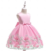 economico Vestiti per serate-Bambini Ragazze Vestito da Festa Tinta unica Senza Maniche Compleanno festa di Natale Ricamato Principessa Dolce Poliestere Midi Vestito da Festa Estate Primavera 4-12 Anni Giallo Rosa Azzurro cielo