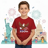  100% хлопок Дети Мальчики Синий Черный Белый Графика Орел 250-летие Футболка Блуза Вырез под горло С короткими рукавами на открытом воздухе На каждый день Мода Уличный стиль Оригинальный рисунок