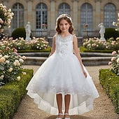 baratos Vestidos de Menina das Flores-Flower Girl Dress Girls' Formal Dress Wedding Attire Party Wedding Formal Adorable Formal Princess First Communion Dress Patchwork Mesh Solid Color Sleeveless Crew Neck White Pink 4 years+