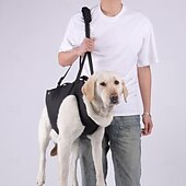 baratos Bolsas de Transporte e Viagem-Cachorros Leash mãos livres Esporte &amp; lazer Animais Portátil Ajustável Respirável Segurança Ao ar livre Esportes Casual / Diário Cachorro