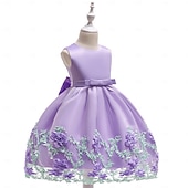 economico Vestiti per serate-Bambini Ragazze Vestito da Festa Tinta unica Senza Maniche Compleanno festa di Natale Ricamato Principessa Dolce Poliestere Midi Vestito da Festa Estate Primavera 4-12 Anni Giallo Rosa Azzurro cielo