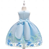 economico Vestiti per serate-Bambini Ragazze Vestito da Festa Tinta unica Senza Maniche Compleanno festa di Natale Ricamato Principessa Dolce Poliestere Midi Vestito da Festa Estate Primavera 4-12 Anni Giallo Rosa Azzurro cielo