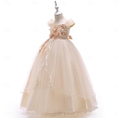 ieftine Rochițele pentru fetița cu flori-Copii Fete Rochie de petrecere Culoare solidă Fără manșon Ocazie specială Zi de Naștere Prințesă Dulce Poliester Maxi Rochie de petrecere Vară Primăvară 4-13 ani Șampaniu Roz Îmbujorat Roșu Vin