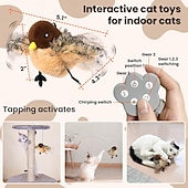 رخيصةأون إلى $30-لعبة قطيفة محاكاة نداء الطيور ذاتية الارتفاع، بما في ذلك لعبة القطط ولعبة الحيوانات الأليفة