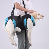 baratos Bolsas de Transporte e Viagem-Cachorros Leash mãos livres Esporte &amp; lazer Animais Portátil Ajustável Respirável Segurança Ao ar livre Esportes Casual / Diário Cachorro