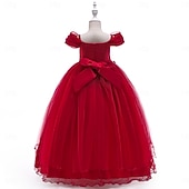 ieftine Rochițele pentru fetița cu flori-Copii Fete Rochie de petrecere Culoare solidă Fără manșon Ocazie specială Zi de Naștere Prințesă Dulce Poliester Maxi Rochie de petrecere Vară Primăvară 4-13 ani Șampaniu Roz Îmbujorat Roșu Vin