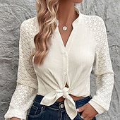 Χαμηλού Κόστους Απλές μπλούζες-Γυναικεία Casual πουκάμισο Πουκάμισο με κουμπιά Μπλούζα γραβάτα μπροστά Δαντέλα Κουμπιά Συμπαγές Χρώμα Καθημερινά Στυλάτο Καθημερινό Μακρυμάνικο Λαιμόκοψη V Όρθιος Γιακάς Κανονικά μπλουζάκια