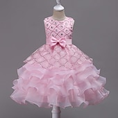preiswerte Blumenmädchenkleider-Blumenmädchenkleid Mädchen Formelle Kleidung Hochzeitskleidung Party Hochzeit Formell Mode Prinzessin Schön Kleid für die Erstkommunion Netz Einfarbig Ärmellos Rundhalsausschnitt Blau Weiß Ab 4 Jahren