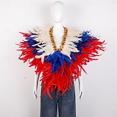 billiga Tillbehör-Karneval 2026 Rio Karneval Samba Tillbehör Kvinnors Mardi Gras Fjäder Cape Själ Lila Grön Guld Fjäder Poncho med Juvelkrage Brasilien Festival Prestandakostym