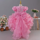 economico Abiti da Fiori-Abito da damigella d'onore bambina Ragazze Abito formale Abiti da sposa Feste Matrimonio Formale Moda Formale Principessa Abito per la Prima Comunione Rete Tinta unica Manica Corta Girocollo Bianco