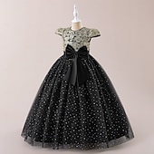 Недорогие Платья цветочной девочки-Дети Девочки Платье для вечеринки Сплошной цвет Без рукавов Особые случаи День рождения Принцесса Милая Полиэстер Макси Платье для вечеринки Лето Весна 4-13 лет Черный Цвет шампанского Розовый