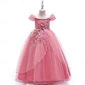 ieftine Rochițele pentru fetița cu flori-Copii Fete Rochie de petrecere Culoare solidă Fără manșon Ocazie specială Zi de Naștere Prințesă Dulce Poliester Maxi Rochie de petrecere Vară Primăvară 4-13 ani Șampaniu Roz Îmbujorat Roșu Vin