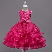 preiswerte Blumenmädchenkleider-Blumenmädchenkleid Mädchen Formelle Kleidung Hochzeitskleidung Party Hochzeit Formell Mode Prinzessin Schön Kleid für die Erstkommunion Netz Einfarbig Ärmellos Rundhalsausschnitt Blau Weiß Ab 4 Jahren