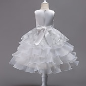 preiswerte Blumenmädchenkleider-Blumenmädchenkleid Mädchen Formelle Kleidung Hochzeitskleidung Party Hochzeit Formell Mode Prinzessin Schön Kleid für die Erstkommunion Netz Einfarbig Ärmellos Rundhalsausschnitt Blau Weiß Ab 4 Jahren