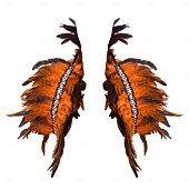 abordables Accessoires-Carnaval 2026 Accessoires de Carnaval de Rio Samba Épaulières Femme Plumes Rouges avec Bord en Strass Costume de Performance Festival Brésilien