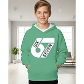 abordables Humour Drôle 3D de Garçon-Unisexe Garçons 3D Graphique Argot drôle 67 Sweat à Capuche Pull manche longue Impression 3D Printemps Automne Sports Mode Streetwear Enfants 4-12 ans À capuche Extérieur Occasionnel Quotidien Coupe