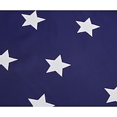  A 250-a aniversare a SUA 1950 Retro / vintage Lungime Genunchi Rochii Rochie leagăn Rochie Flare Fără mâneci Linia -A Costume de fancy Pentru femei 4 iulie Ziua Independenței Adulți Rochie Primavara