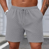 economico Pantaloncini casual-Per uomo Shorts Pantaloncini casual Jacquard Testurizzato Semplice Comodità Traspirante Lunghezza al ginocchio Casuale All'aperto Spiaggia Vacanza Moda Blu marino Grigio chiaro Micro-elastico