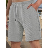 billiga Vardagsshorts-Herr Shorts Casual shorts Jacquard Slät Strukturerad Komfort Andningsfunktion Över Knät Ledigt Utomhus Strand Semester Mode Ljusgrå Microelastisk