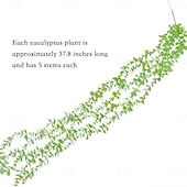 お買い得  人工植物と緑-人工ユーカリのつる4本、フェイクグリーン吊り下げ式つる植物、天井装飾、リビングルーム、エアコンパイプラッピング、ホームデコレーション