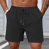 economico Pantaloncini casual-Per uomo Shorts Pantaloncini casual Jacquard Testurizzato Semplice Comodità Traspirante Lunghezza al ginocchio Casuale All'aperto Spiaggia Vacanza Moda Blu marino Grigio chiaro Micro-elastico