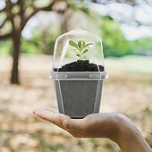 cheap Plant Care Accessories-10pcs of Transparent Plant Seedling Pots with Humidity Domes, Square Plastic Containers with Lids And Bases, Breathable And Heat-Insulating, Suitable for Seedlings, Vegetables, Succulents