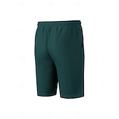 baratos Calções Estilo Casual-Homens Calções Waffle Calção Shorts de verão Shorts casuais Com Cordão Bolsos Cintura elástica Tecido Conforto Respirável Curto Ao ar livre Férias Verão Desporto Casual Vinho Micro-Elástica