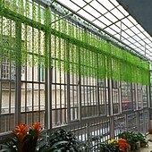 levne Umělé rostliny a zeleň-20 ks umělých vrbových listů, imitace vinné révy, závěsné rostliny, girlanda z umělých plastových listů na zeď, strop, balkon, vnitřní a venkovní dekoraci