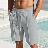 baratos Calções Estilo Casual-Homens Calções Waffle Calção Shorts de verão Shorts casuais Com Cordão Bolsos Cintura elástica Tecido Conforto Respirável Curto Ao ar livre Férias Verão Desporto Casual Vinho Micro-Elástica