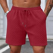 economico Pantaloncini casual-Per uomo Shorts Pantaloncini casual Jacquard Testurizzato Semplice Comodità Traspirante Lunghezza al ginocchio Casuale All'aperto Spiaggia Vacanza Moda Blu marino Grigio chiaro Micro-elastico