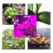 baratos Luz LED Ambiente-Luminária de LED para cultivo de plantas com 1/2/3/4 LEDs, espectro completo, 48 LEDs, temporizador, brilho ajustável, alimentação USB 5V, ideal para plantas de interior, hidroponia, hortaliças,