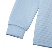 preiswerte Herren Klassisches Polo-Herren Waffel-Poloshirts Textur Lässig Viertelreißverschluss Langarm Mode Bequem Farbblock Reißverschluss Tasche Herbst Frühling &amp; Herbst Normale Passform Weiß Schwarz Blau Hellblau Dunkelgrau Purpur