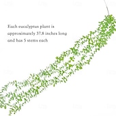 お買い得  人工植物と緑-人工ユーカリのつる4本、フェイクグリーン吊り下げ式つる植物、天井装飾、リビングルーム、エアコンパイプラッピング、ホームデコレーション