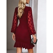 ieftine Rochie simplă-Pentru femei Rochie Mini Rochie teacă Elegant Petrecere cocktail În aer liber Petrecere Invitat la nunta Dantelă Peteci Fit regulat Culoare solidă Manșon Lung Stil Nautic Negru Roșu Vin Verde Închis