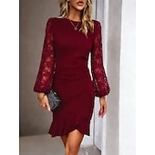 ieftine Rochie simplă-Pentru femei Rochie Mini Rochie teacă Elegant Petrecere cocktail În aer liber Petrecere Invitat la nunta Dantelă Peteci Fit regulat Culoare solidă Manșon Lung Stil Nautic Negru Roșu Vin Verde Închis