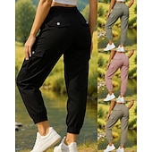 Недорогие Низ-Жен. Брюки карго Штаны для туризма и прогулок Весна Осень На открытом воздухе Стандартный Быстровысыхающий Нижняя часть Карман Черный Розовый Отдых и Туризм Бег S M L XL XXL