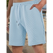billiga Vardagsshorts-Herr Shorts Casual shorts Jacquard Slät Strukturerad Komfort Andningsfunktion Över Knät Ledigt Utomhus Strand Semester Mode Ljusgrå Microelastisk