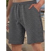 billiga Vardagsshorts-Herr Shorts Casual shorts Jacquard Slät Strukturerad Komfort Andningsfunktion Över Knät Ledigt Utomhus Strand Semester Mode Ljusgrå Microelastisk