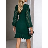 ieftine Rochie simplă-Pentru femei Rochie Mini Rochie teacă Elegant Petrecere cocktail În aer liber Petrecere Invitat la nunta Dantelă Peteci Fit regulat Culoare solidă Manșon Lung Stil Nautic Negru Roșu Vin Verde Închis